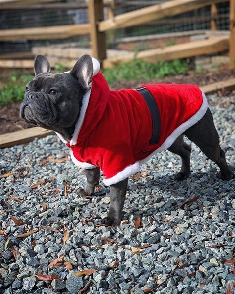 Santa Claus Hoodie