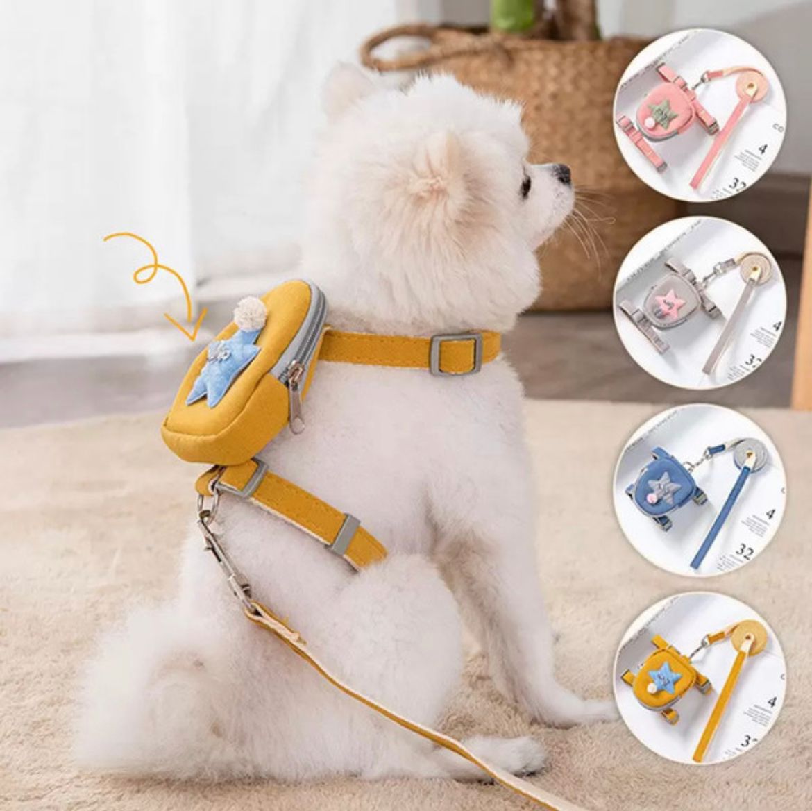 Leash with backpack in the shape of a box