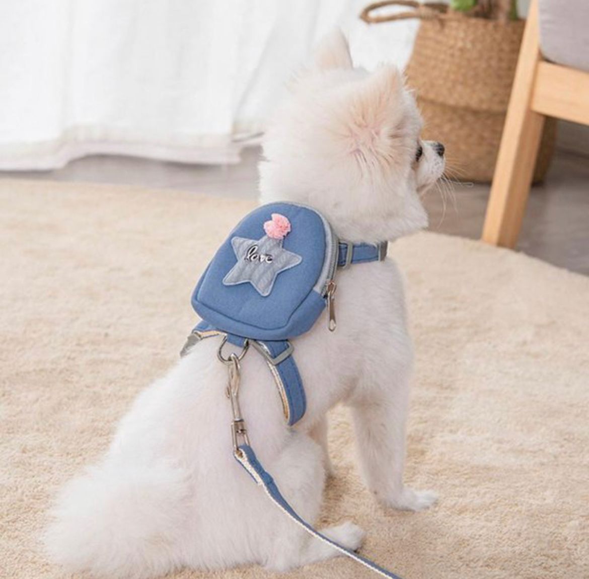 Leash with backpack in the shape of a box